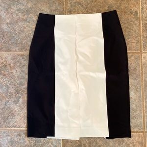 Ann Taylor skirt